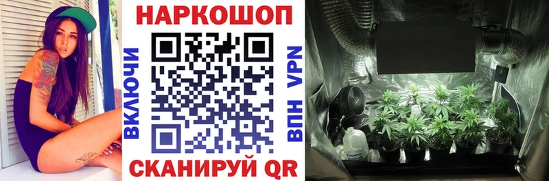 Купить наркотики сайты Куртамыш Канабис  Гашиш 