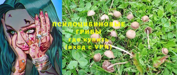 скорость Нягань
