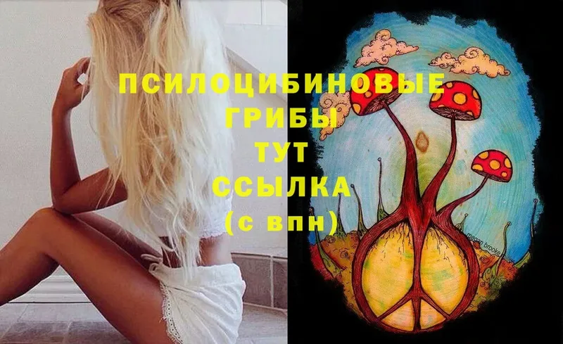 Псилоцибиновые грибы ЛСД  купить   Куртамыш 